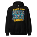 Elements Of Fun Hoodie