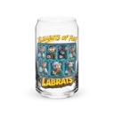 Elements Of Fun 16oz Can Glass