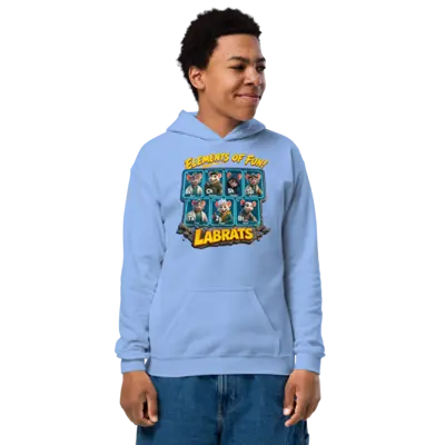 Elements Of Fun Kids Hoodie